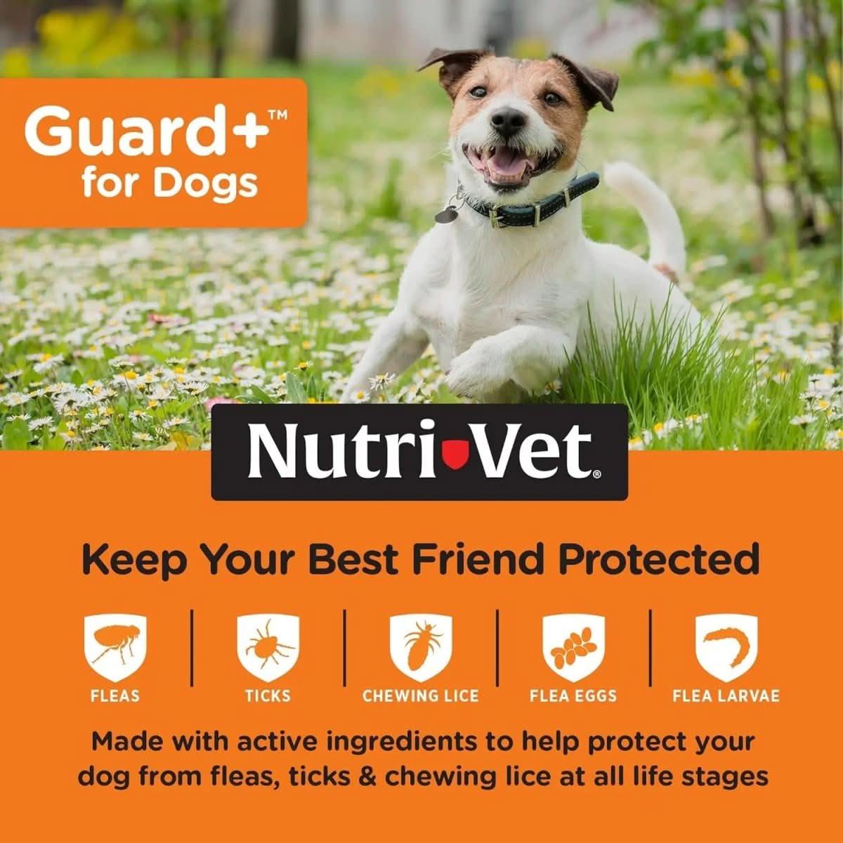 Nutri - Vet Guard Plus Flea & Tick Treatment for Dogs 3 pk - Talis Us