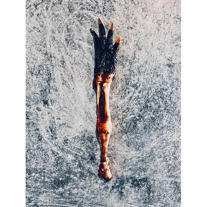 Nutrigator® Farm - Raised Alligator Feet Hypoallergenic Dog Treats Bulk - Talis Us