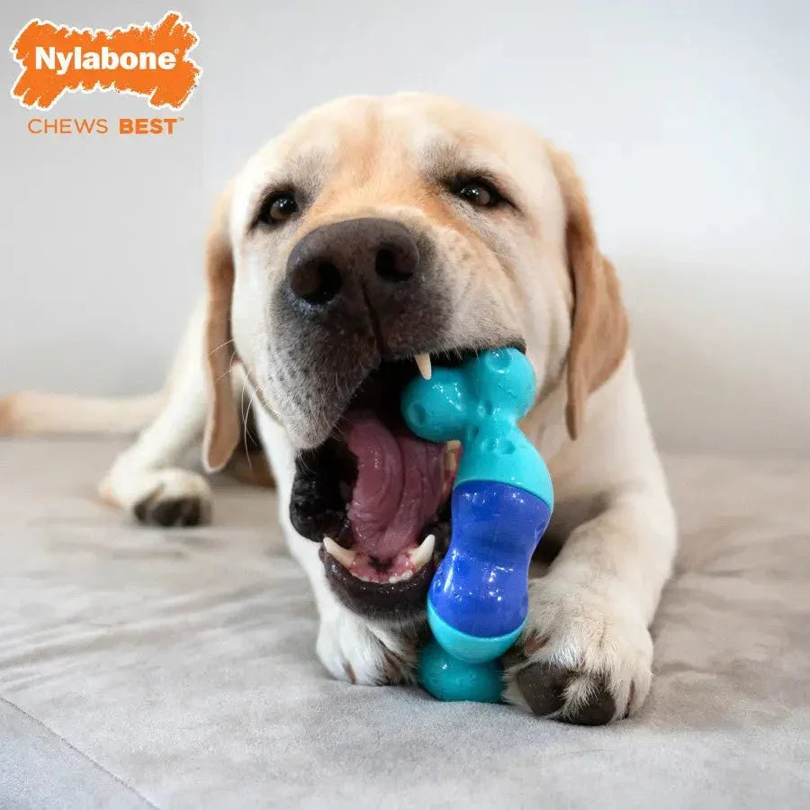 Nylabone Power Chew Twist 'N Bacon & Beef Jerky Flavor Chew Dog Toy - Talis Us