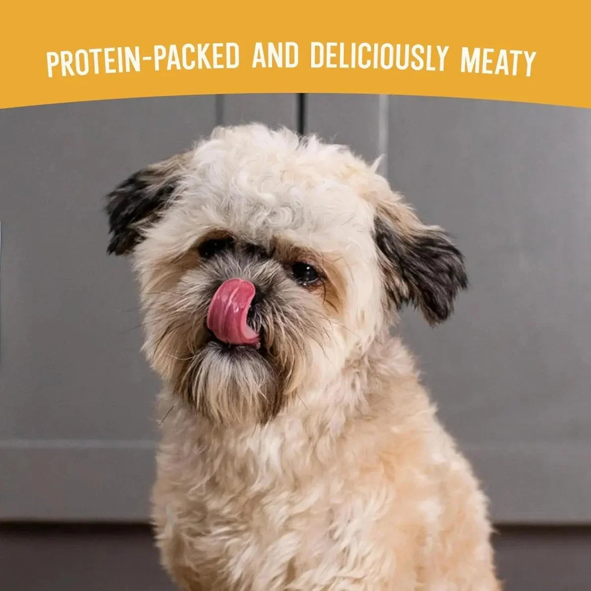 Open Farm Air Dried Harvest Chicken Dog Food - Talis Us