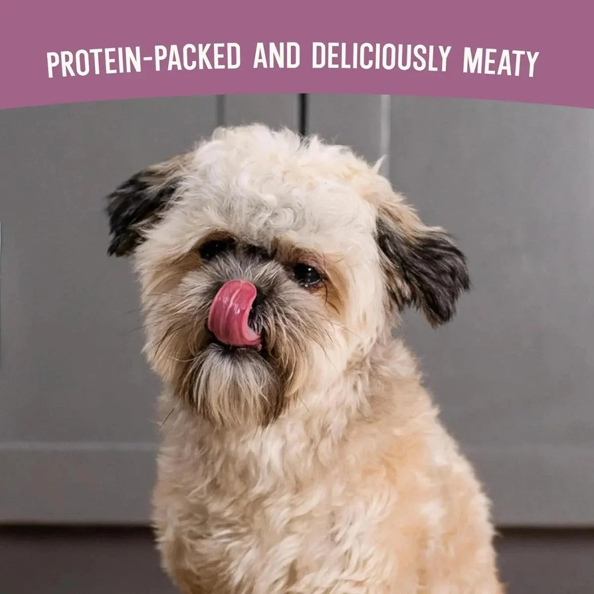 Open Farm Air Dried Pollock & Lamb Dog Food - Talis Us