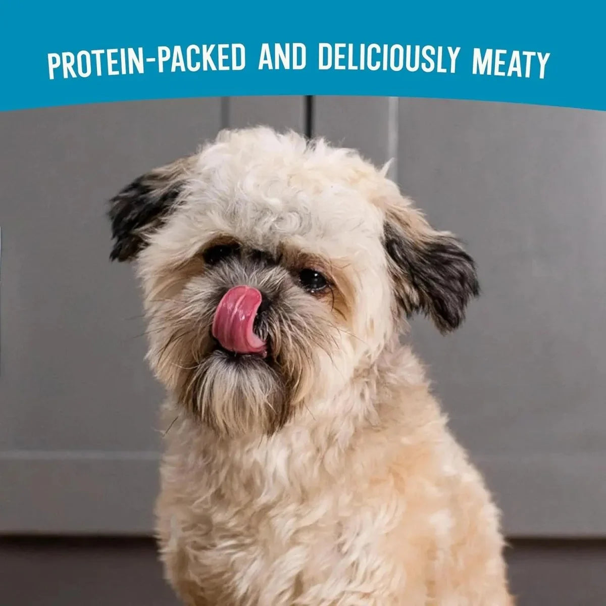 Open Farm Air Dried Surf & Turf Dog Food - Talis Us