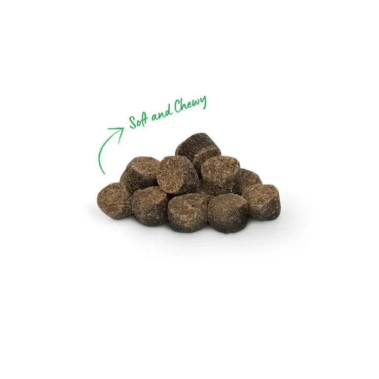 Open Farm Be Good Bites Wild Caught Salmon Soft & Chewy Dog Treats 6 oz - Talis Us