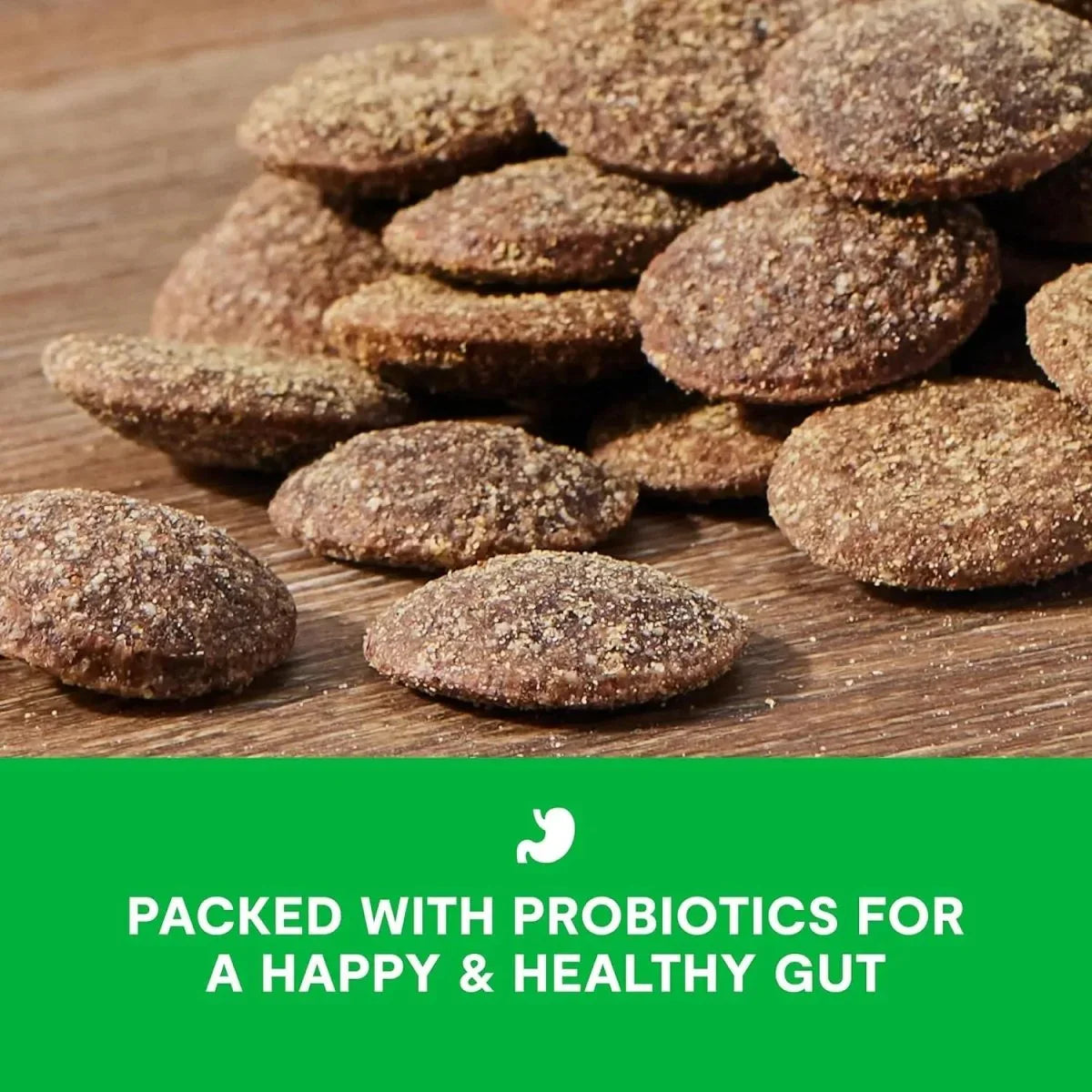 Open Farm Better Biscuits Turkey & Oatmeal Oven Baked Dog Treats with Probiotics 8 oz - Talis Us