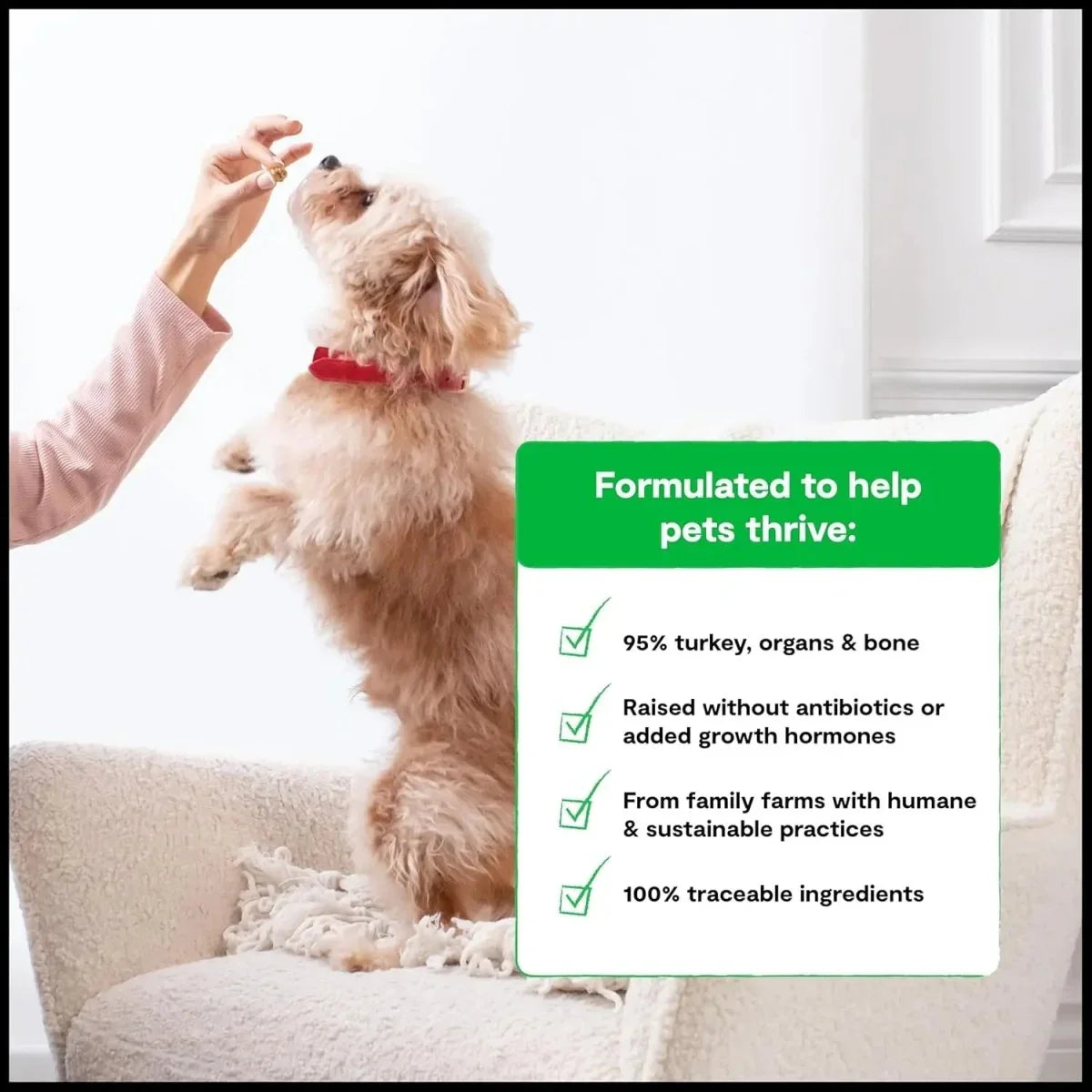 Open Farm Certified Humane Freeze Dried Raw Turkey Recipe for Dogs - Talis Us