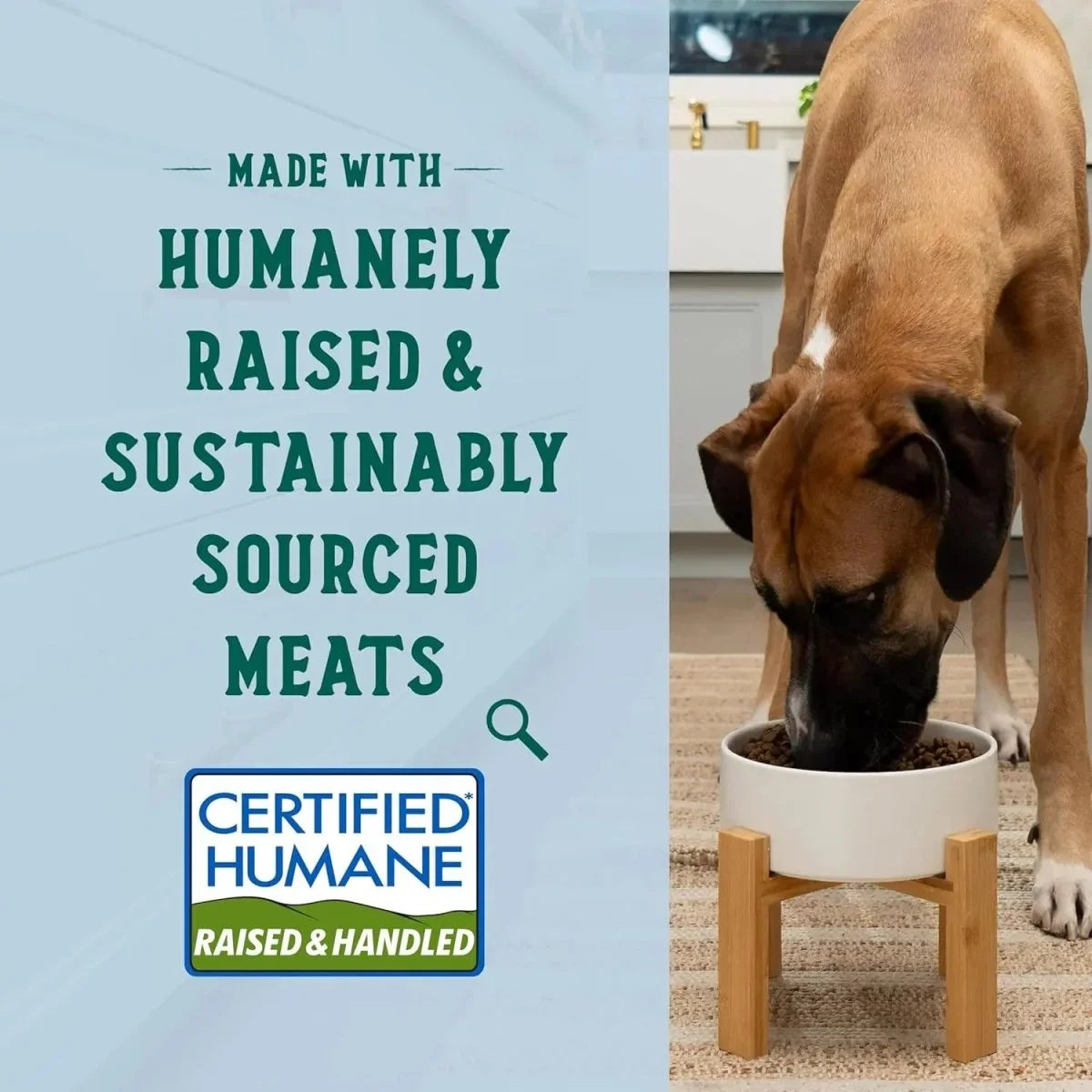 Open Farm GoodBowl Grass - Fed Beef and Brown Rice Dry Dog Food - Talis Us