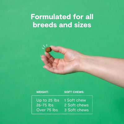 Open Farm Immune Chews Dog Supplement 90 Count - Talis Us