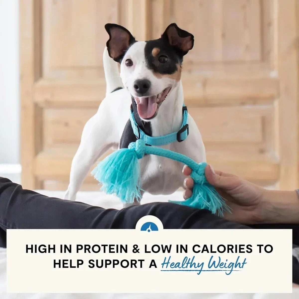Open Farm Veterinarian Formulated Kibble Chicken & Whitefish Healthy Weight Dog Food - Talis Us