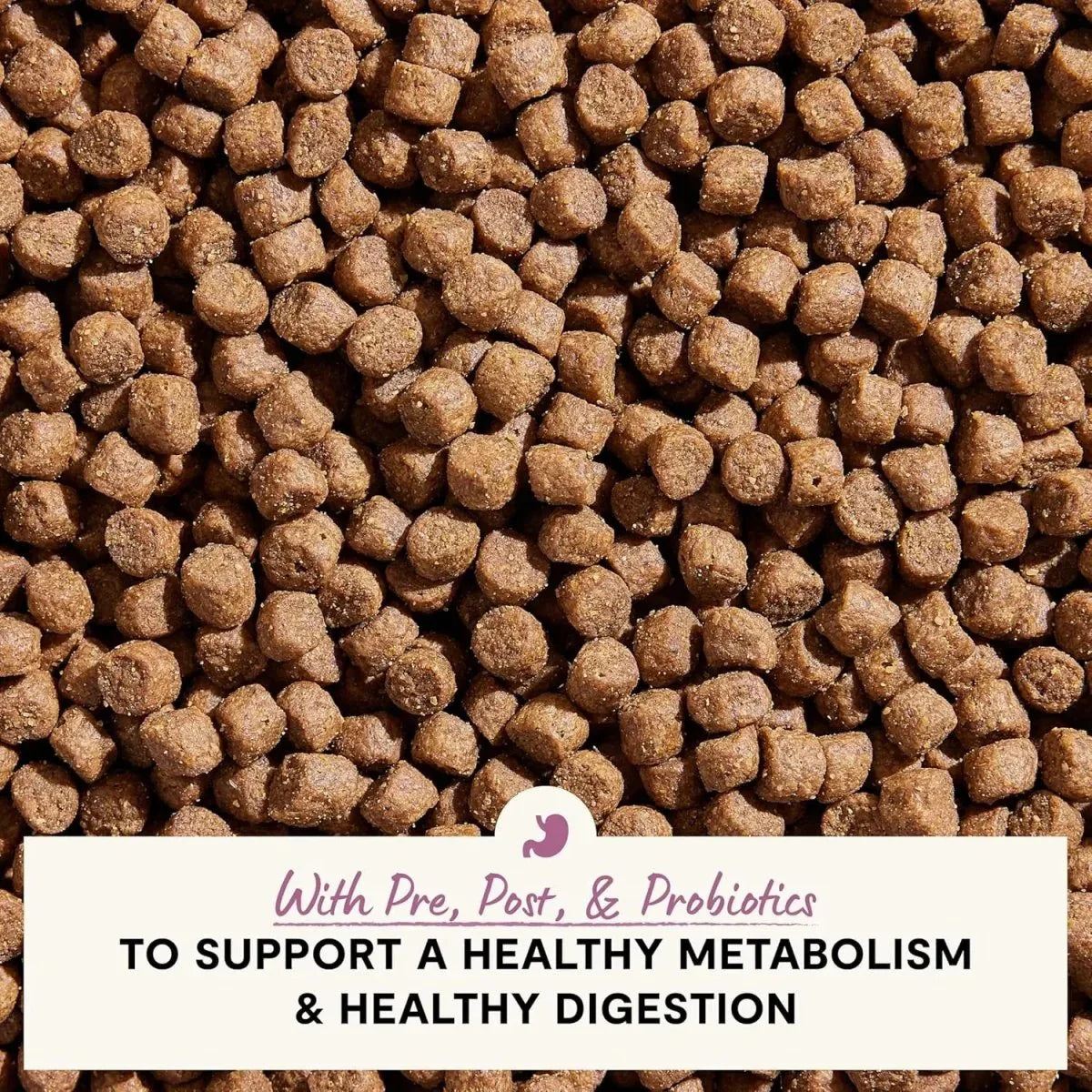 Open Farm Veterinarian Formulated Kibble Pollock & Oatmeal Digestive Health Dog Food - Talis Us