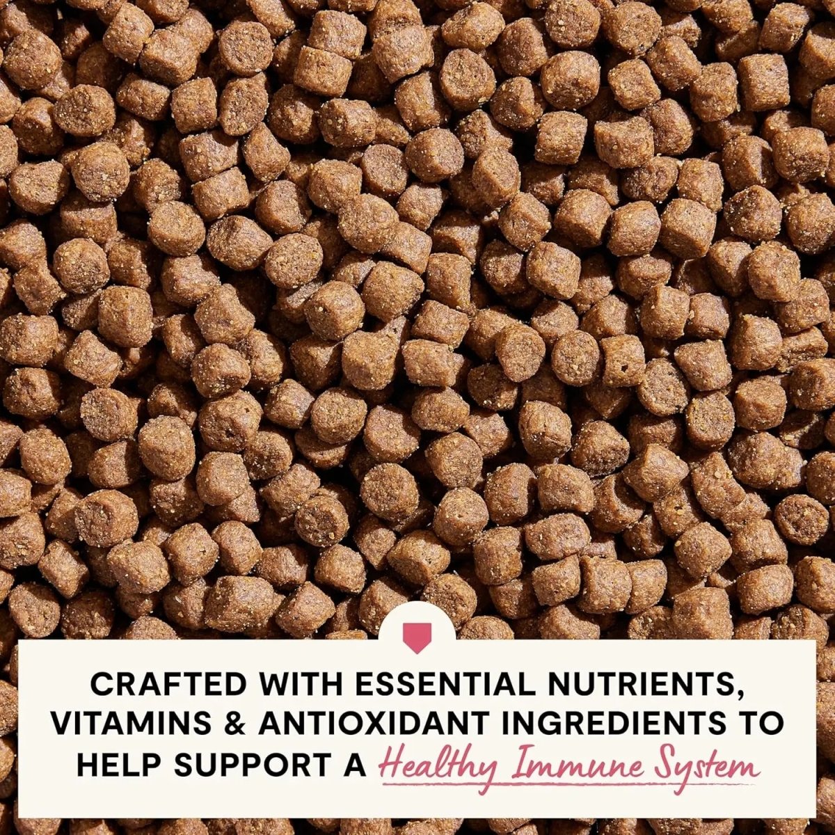 Open Farm Veterinarian Formulated Kibble Salmon & Oatmeal Skin & Coat Health Dog Food - Talis Us