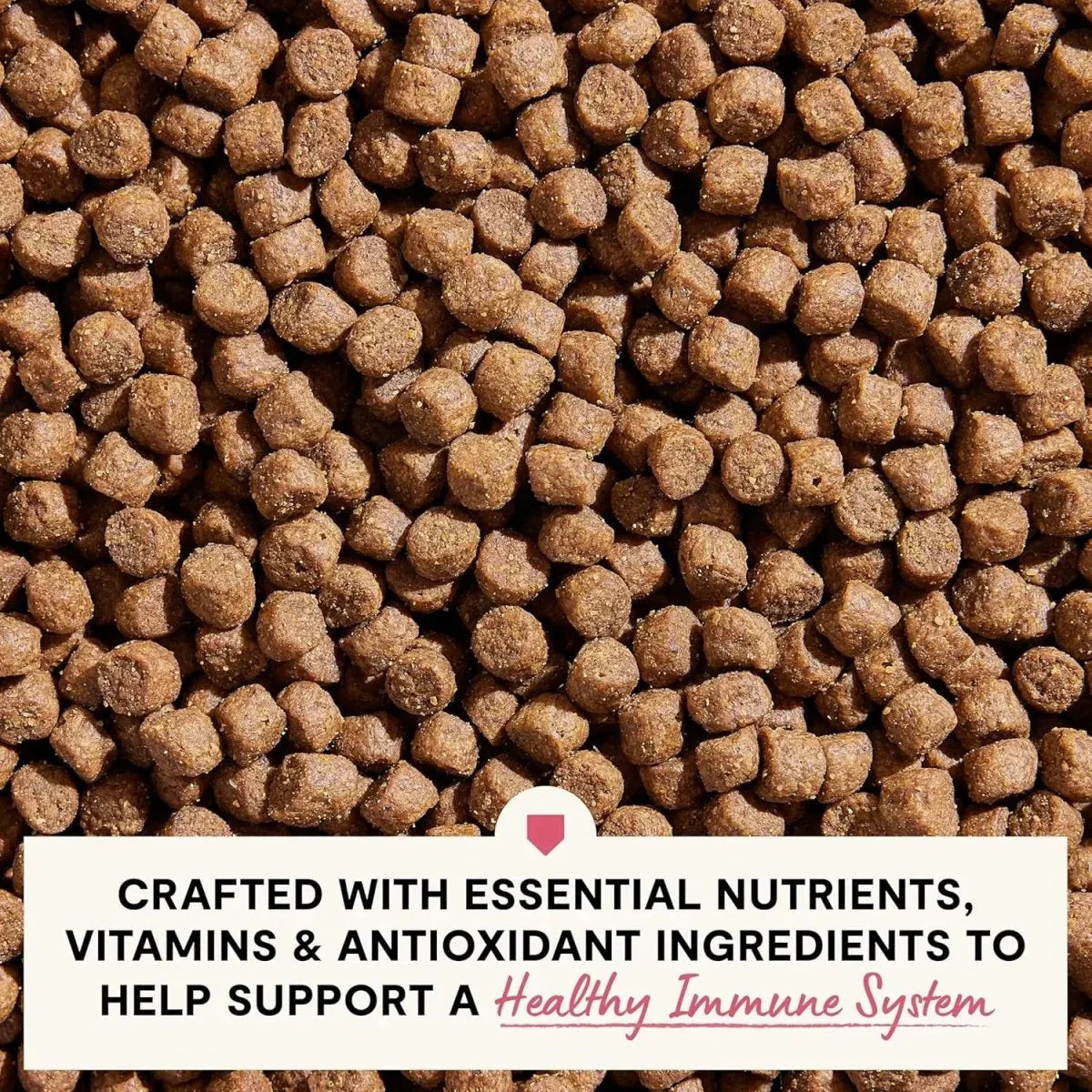 Open Farm Veterinarian Formulated Kibble Salmon & Oatmeal Skin & Coat Health Dog Food - Talis Us