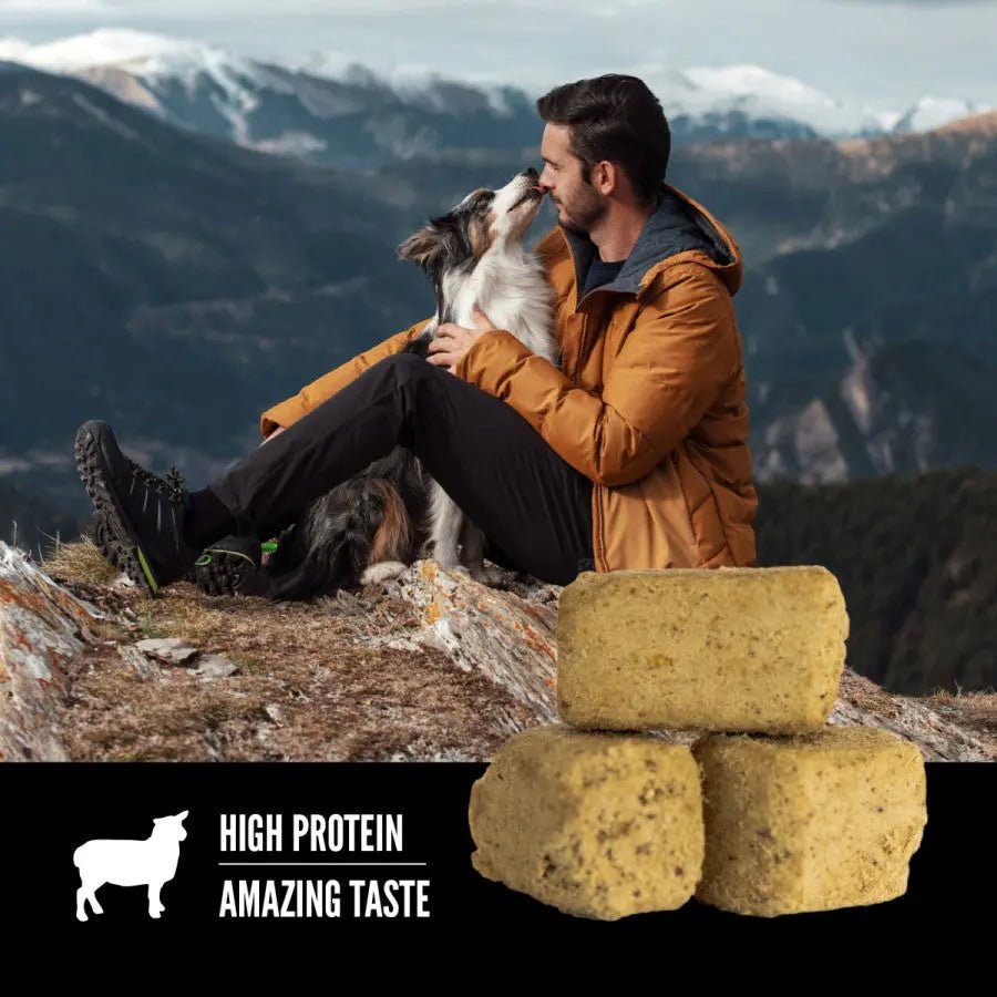 ORIJEN Grass - Fed Lamb Grain - Free Freeze - Dried Dog Treats 3.25 oz - Talis Us