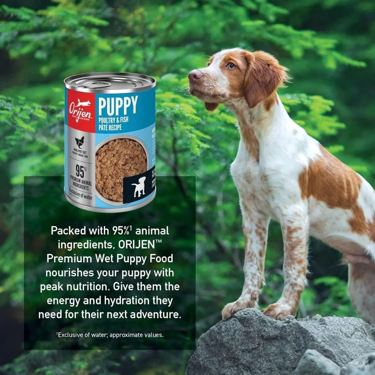 ORIJEN Puppy Recipe Poultry & Fish Pate Grain - Free Wet Dog Food - Talis Us