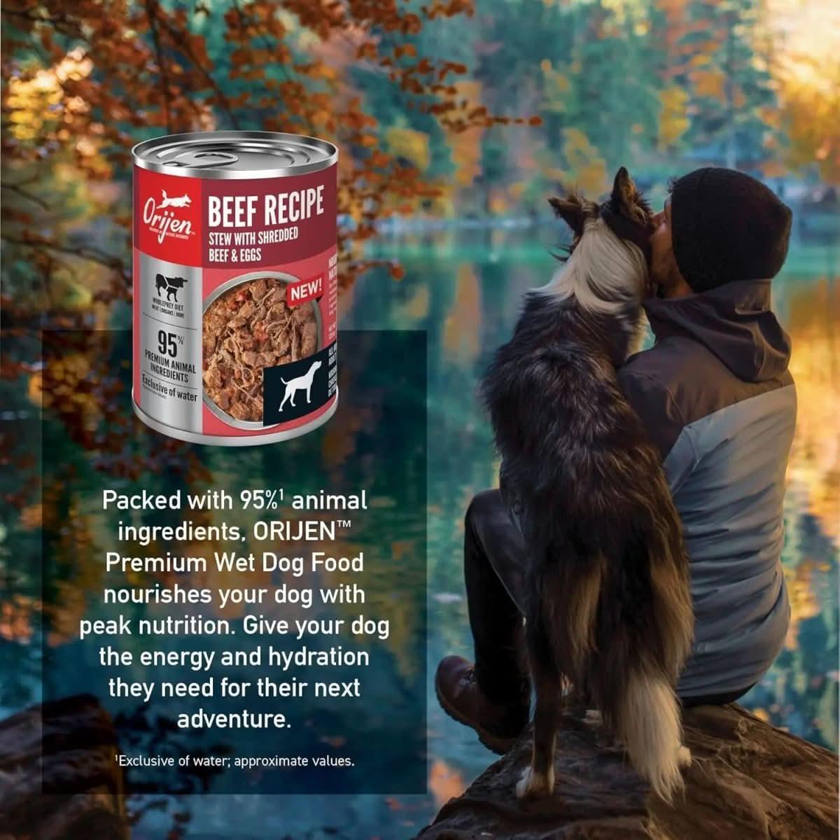 ORIJEN Real Meat Shreds Beef & Eggs Recipe Stew Grain - Free Wet Dog Food 12ea/12.8 oz - Talis Us
