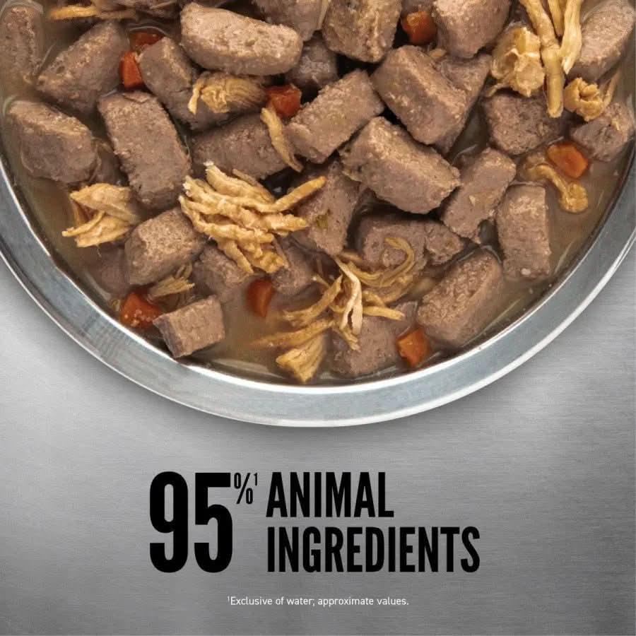 ORIJEN Real Meat Shreds Chicken, Turkey & Eggs Recipe Stew Grain - Free Wet Dog Food 12ea/12.8 oz - Talis Us