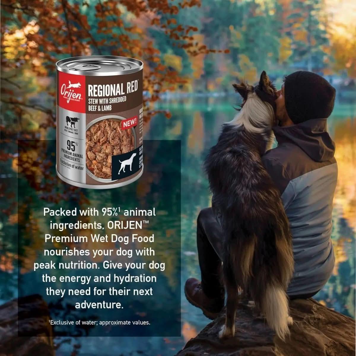 ORIJEN Real Meat Shreds Regional Stew Grain - Free Wet Dog Food - Talis Us