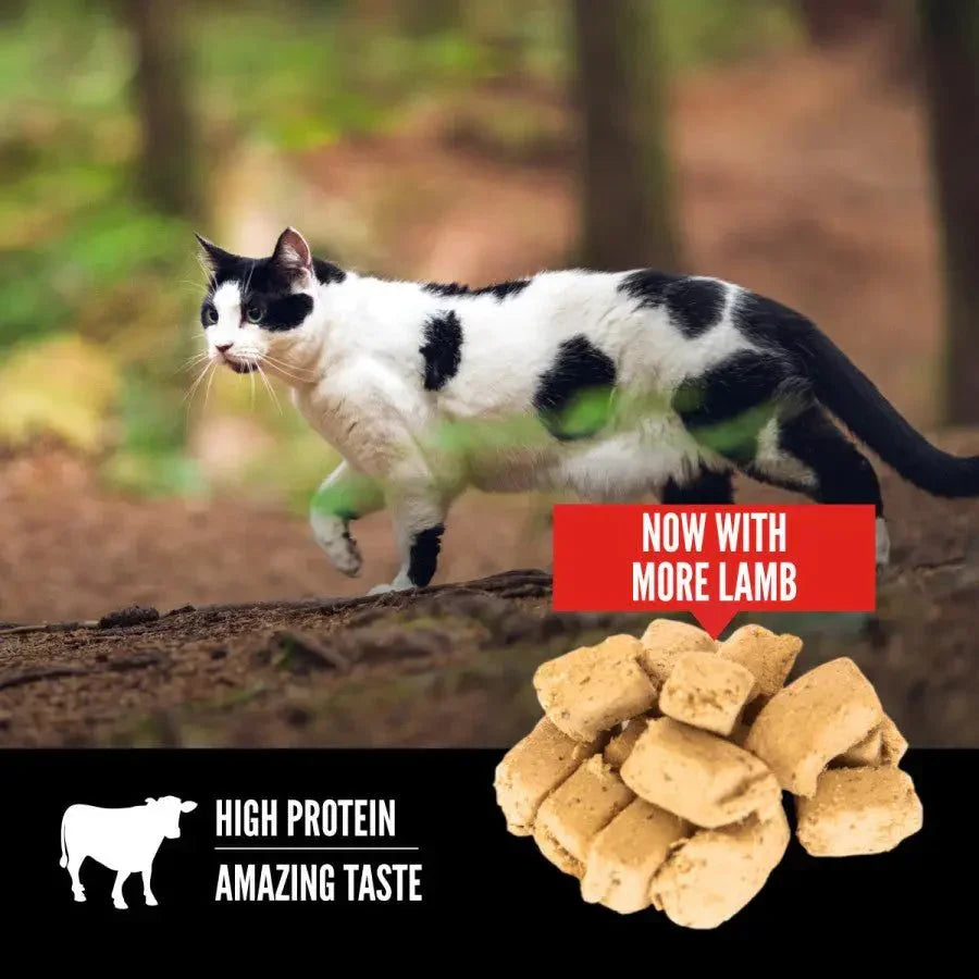 ORIJEN Regional Red Grain - Free Freeze - Dried Cat Treats 1.25 oz - Talis Us