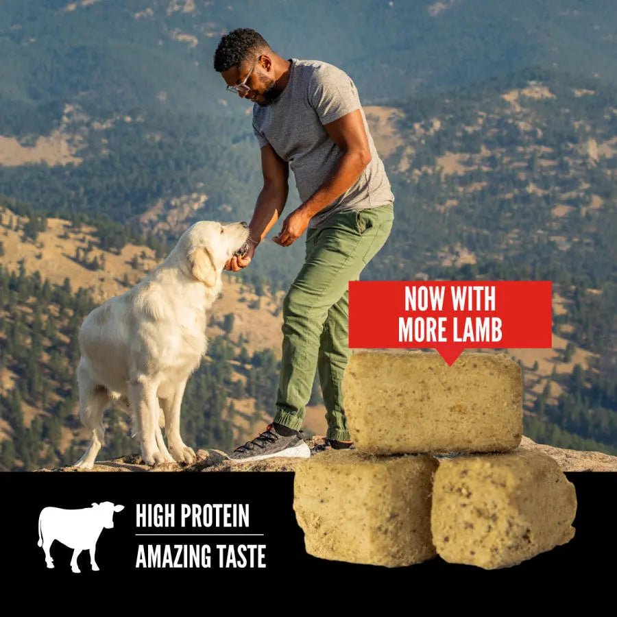ORIJEN Regional Red Grain - Free Freeze - Dried Dog Treats - Talis Us