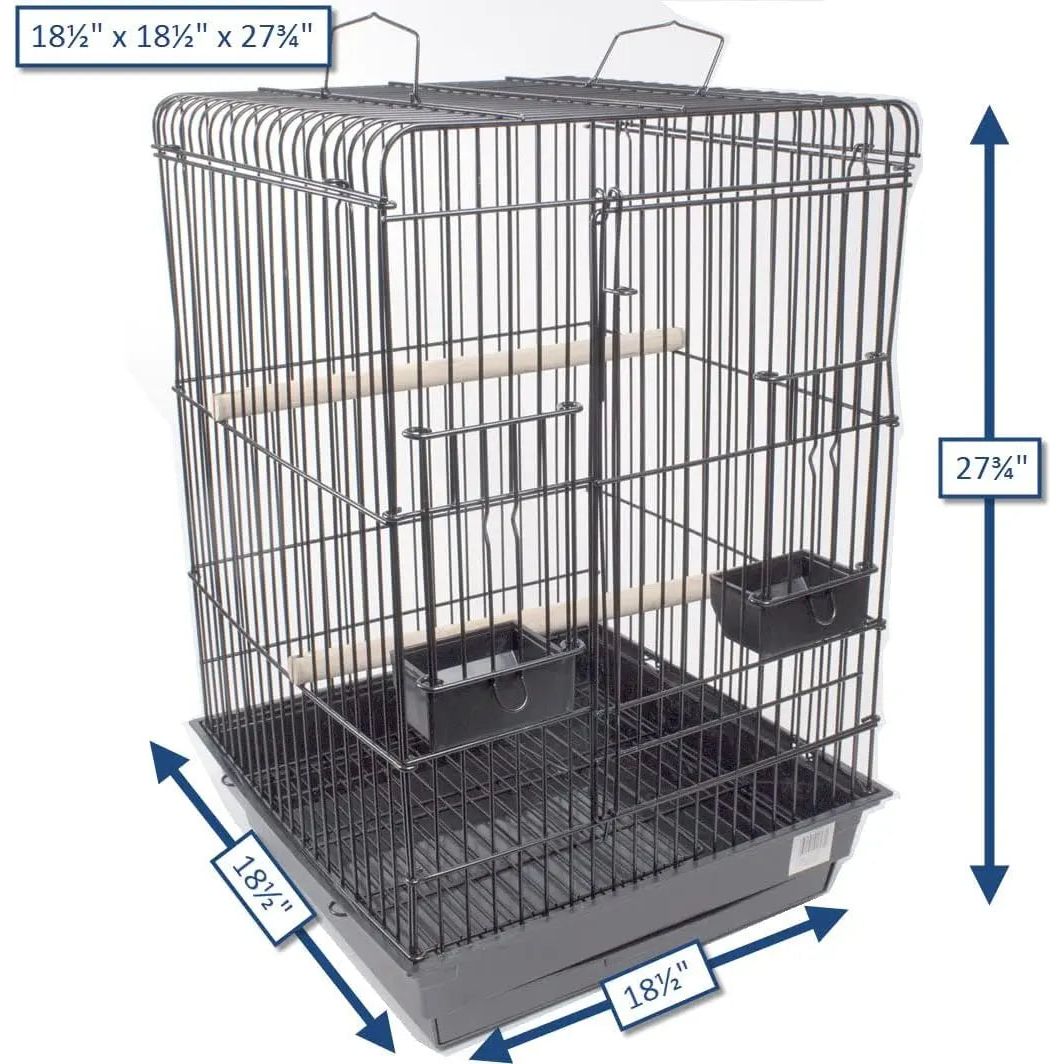 PENN - PLAX Conure & Small Parrot Starter Kit with Birdcage - Talis Us