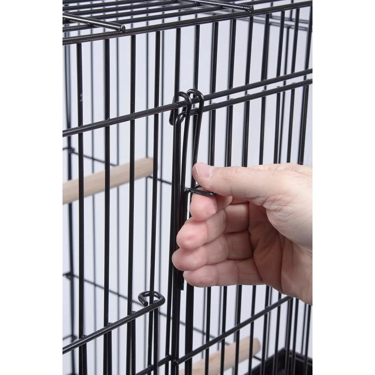 PENN - PLAX Conure & Small Parrot Starter Kit with Birdcage - Talis Us
