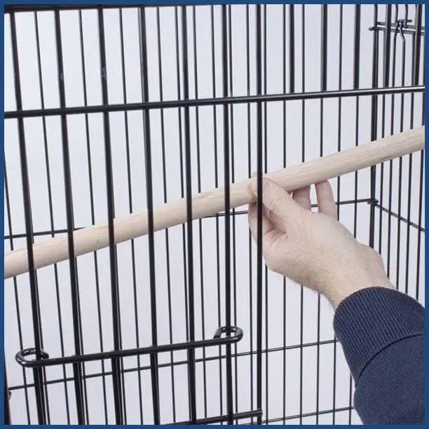 PENN - PLAX Conure & Small Parrot Starter Kit with Birdcage - Talis Us