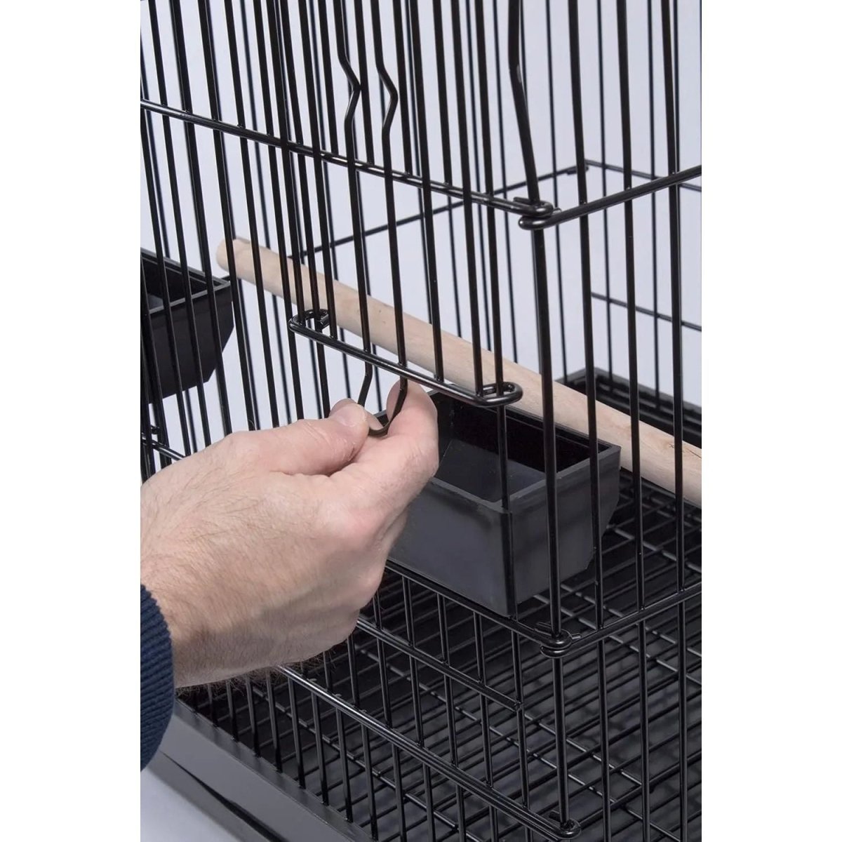 PENN - PLAX Conure & Small Parrot Starter Kit with Birdcage - Talis Us