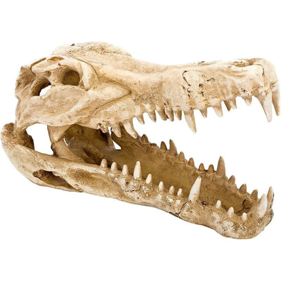 Penn - Plax Crocodile Skull Reptile Enclosure Decor - Talis Us