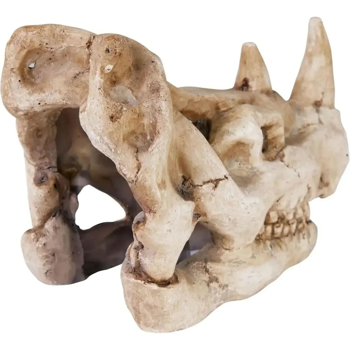 Penn - Plax Rhino Skull Reptile Enclosure Decor - Talis Us