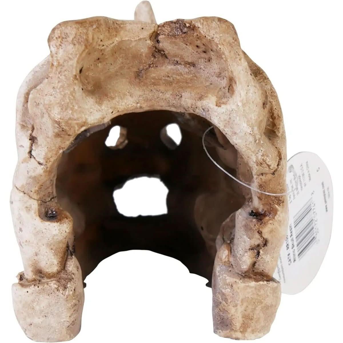 Penn - Plax Rhino Skull Reptile Enclosure Decor - Talis Us