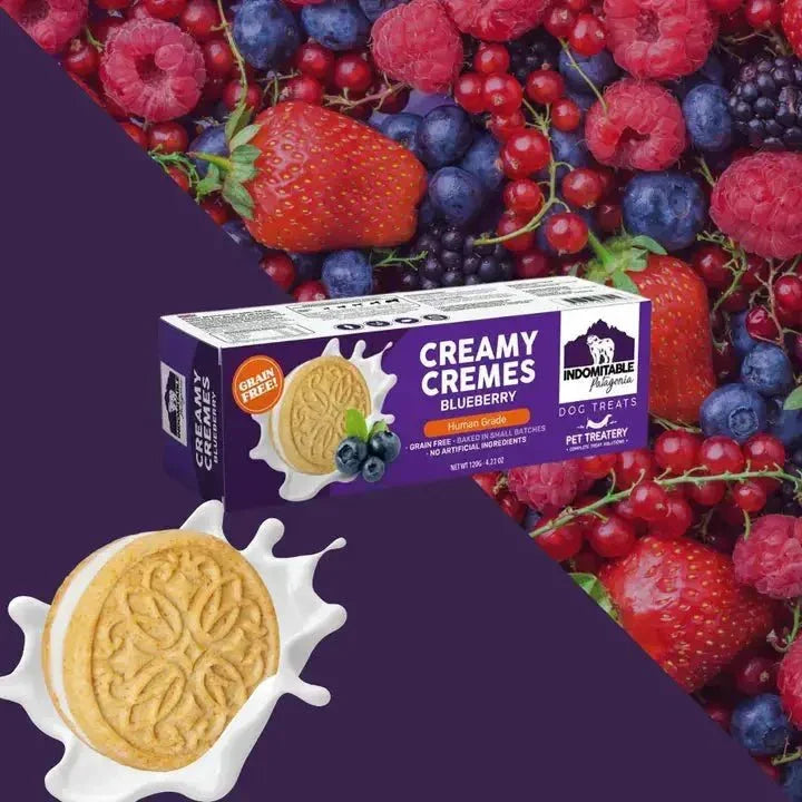 Pet Treatery Dog Biscuits Grain Free Creamy Cremes 4.23 oz./120 gm - Talis Us