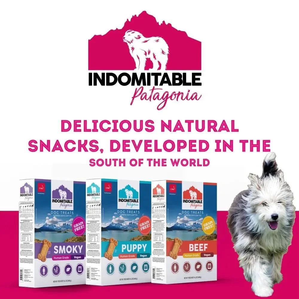 Pet Treatery Indomitable Beef Grain - Free Everyday Dog Biscuits 16.2 oz./460 gm - Talis Us