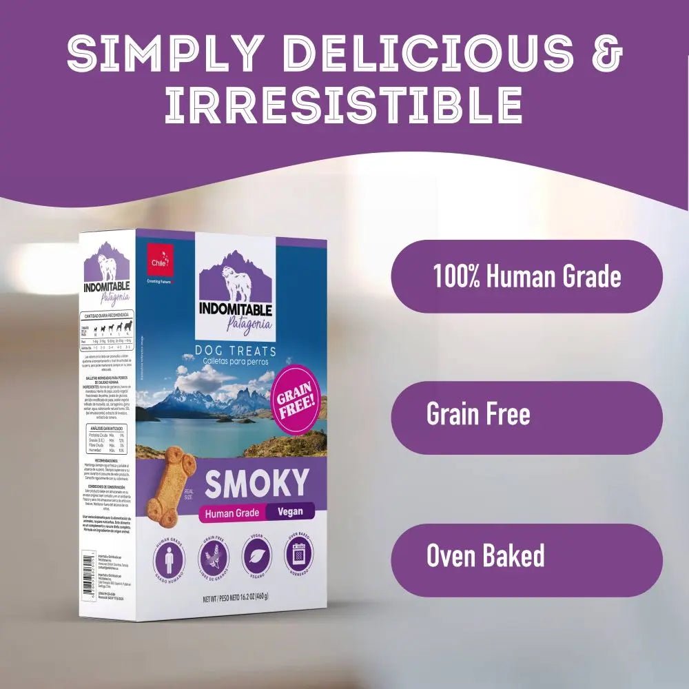 Pet Treatery Indomitable Smoky Grain - Free Everyday Biscuits for Dogs 16.2 oz./460 gm - Talis Us