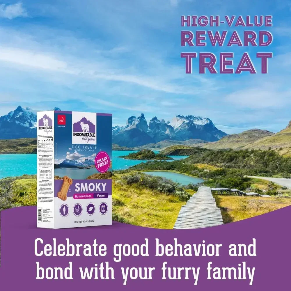 Pet Treatery Indomitable Smoky Grain - Free Everyday Biscuits for Dogs 16.2 oz./460 gm - Talis Us
