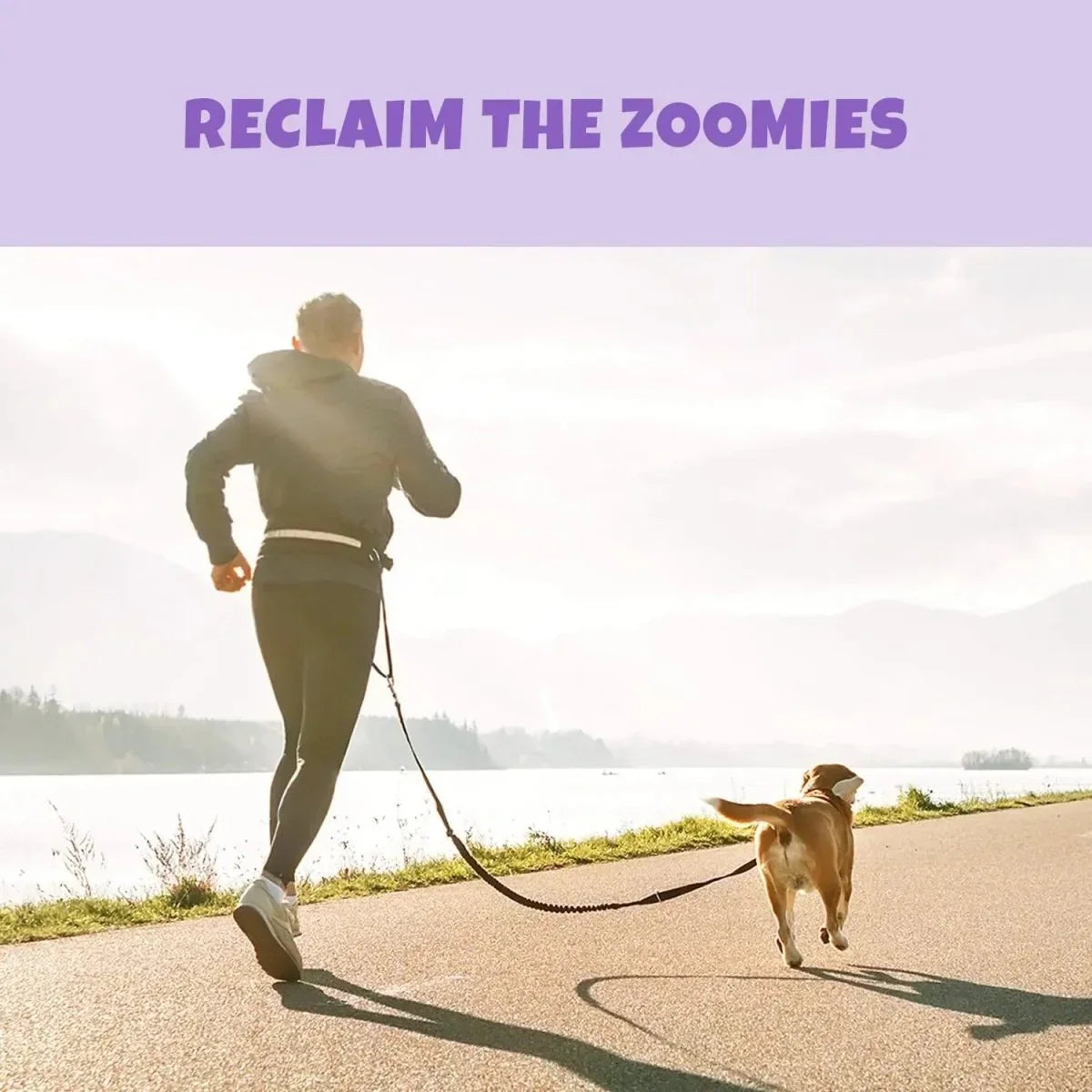 PETIPET Mobility Bites with Glucosamine + Turmeric Apple & Carrot Flavored Soft Chew Hip & Joint Supplement for Dogs 7oz - Talis Us