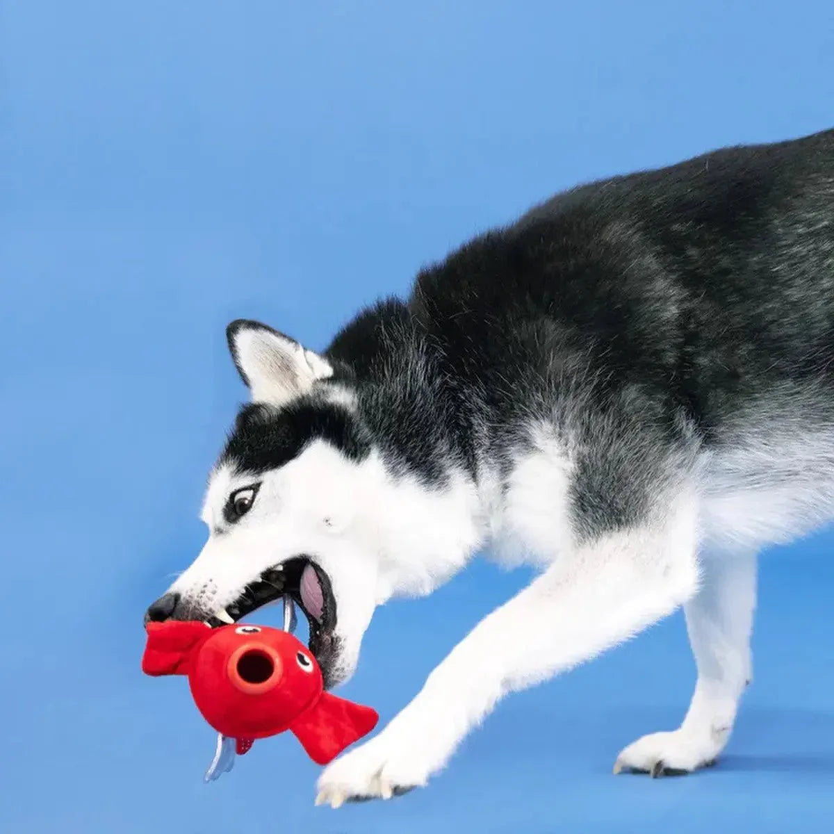 PetShop by Fringe Reel Me In Rubber/Plush Dog Toy - Talis Us