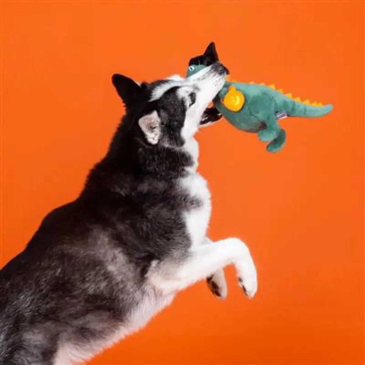 PetShop by Fringe Studio Candy Rex Plush Dog Toy - Talis Us