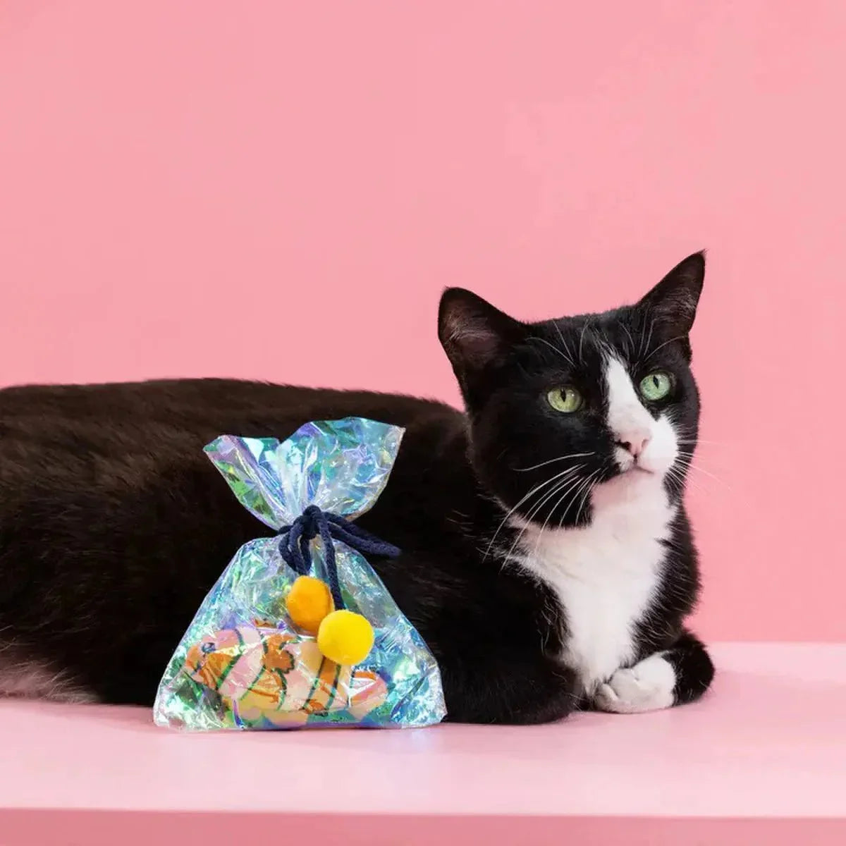PetShop by Fringe Studio Clownin' Around Kicker Cat Toy - Talis Us