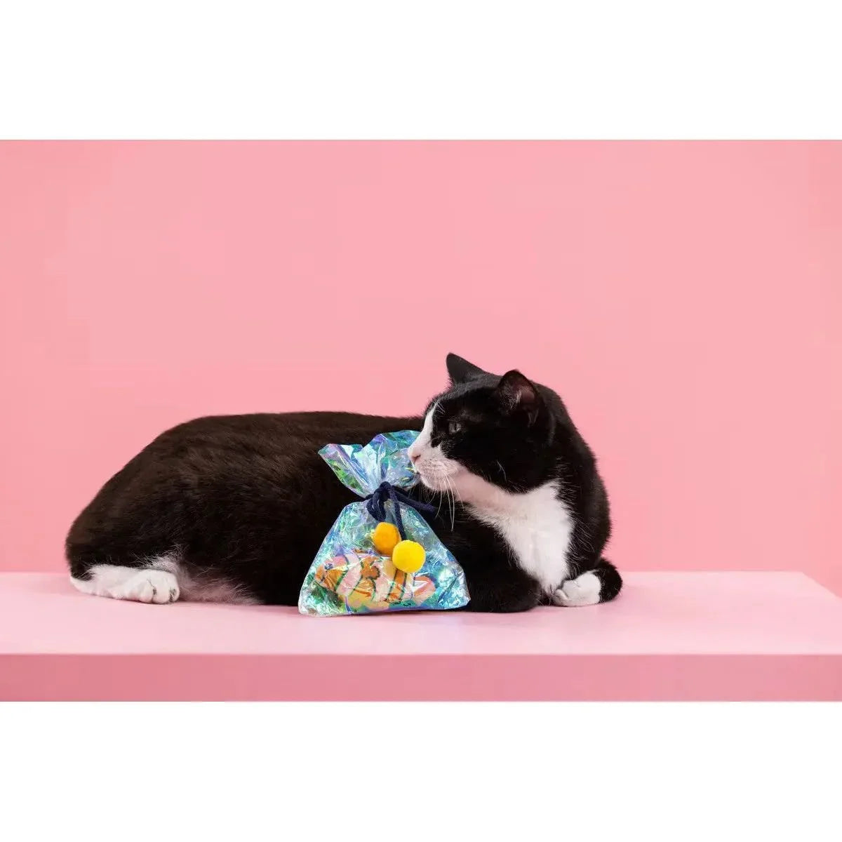 PetShop by Fringe Studio Clownin' Around Kicker Cat Toy - Talis Us