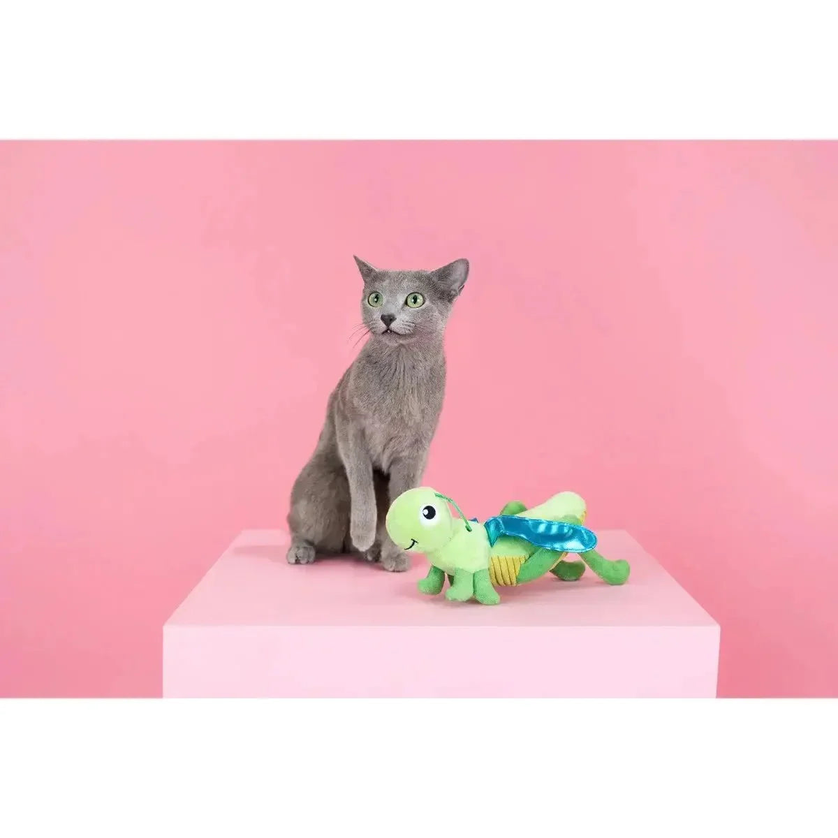 PetShop by Fringe Studio Hop On By Kicker Cat Toy - Talis Us
