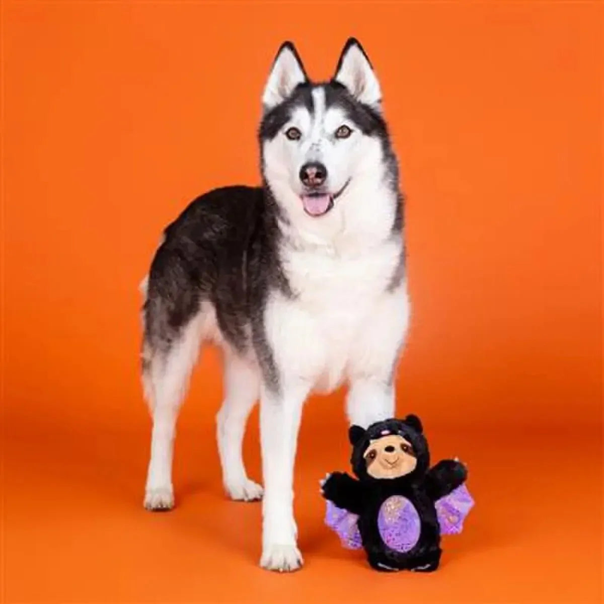 PetShop by Fringe Studio It Be Like Bat Plush Dog Toy - Talis Us
