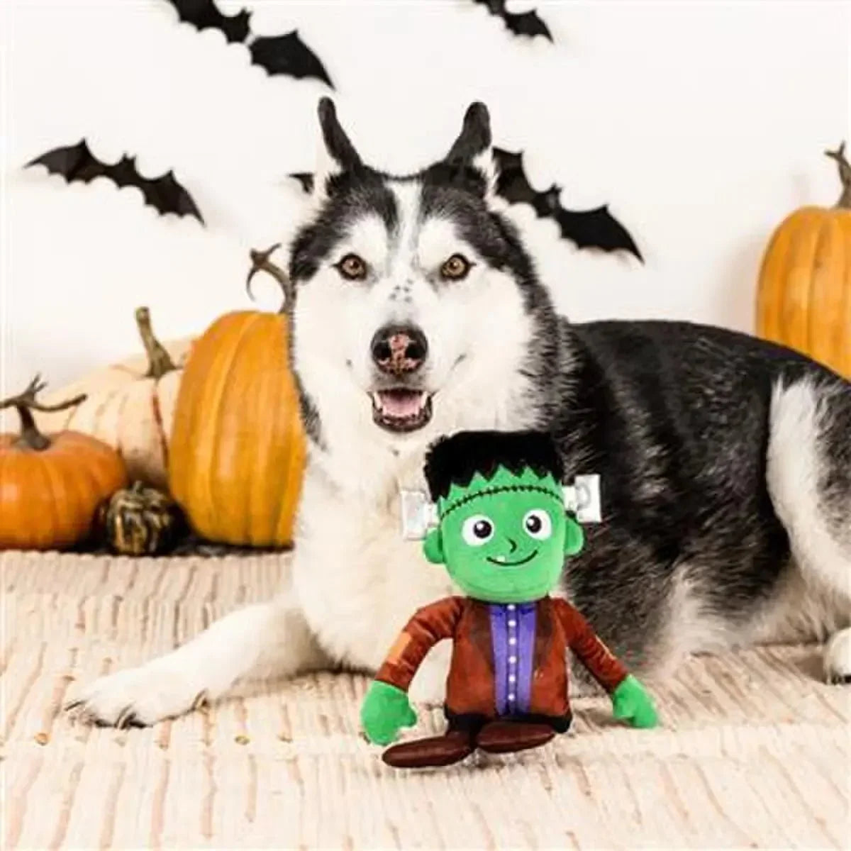 PetShop by Fringe Studio It's Alive Plush Dog Toy - Talis Us