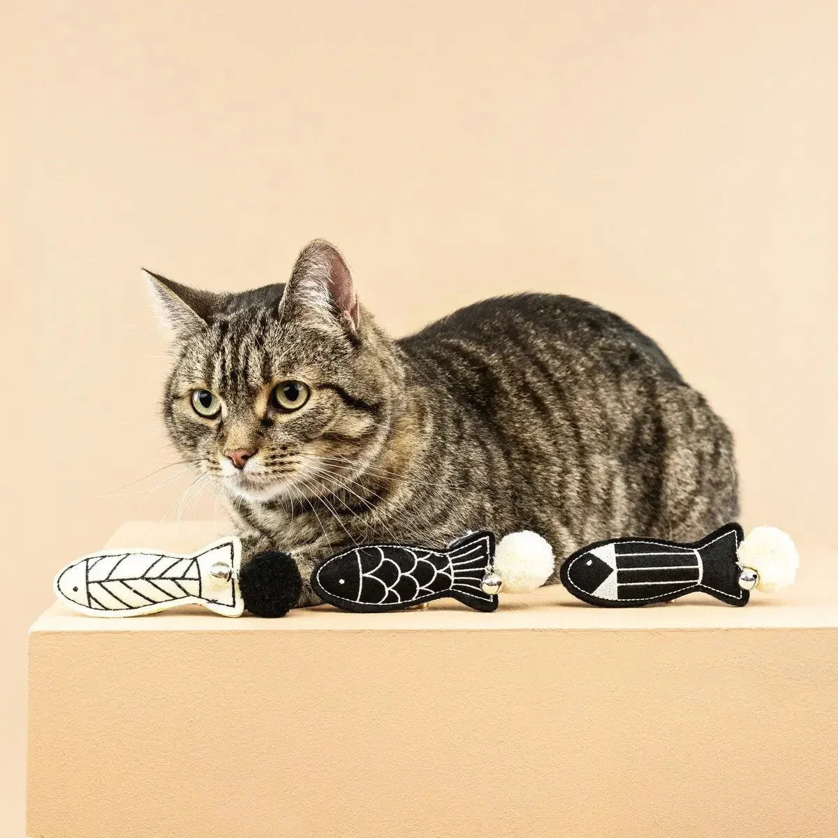 PetShop by Fringe Studio Off The Scales Cat Toy Mini Set 3pc - Talis Us