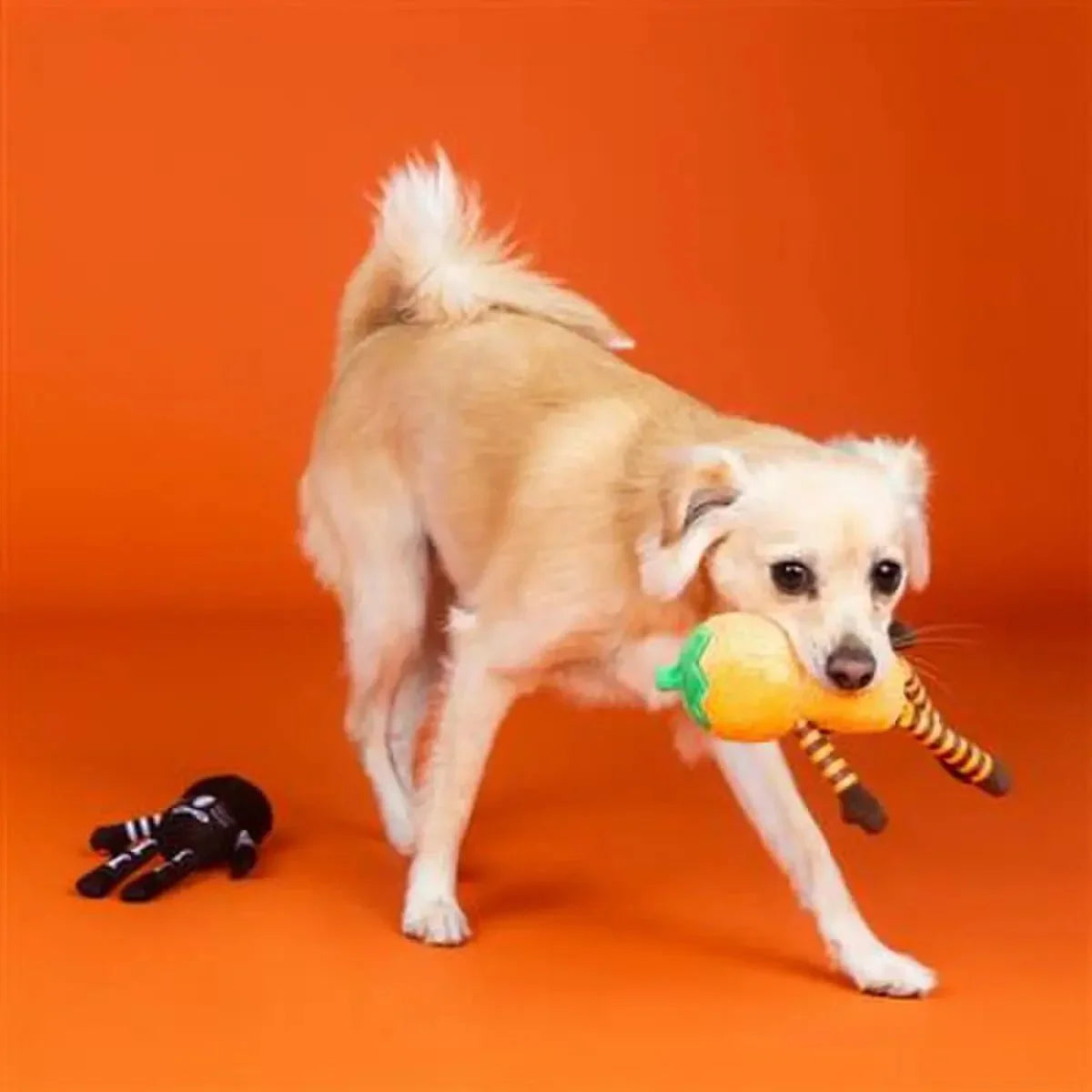 PetShop by Fringe Studio Oh My Gourd Plush Dog Toy - Talis Us