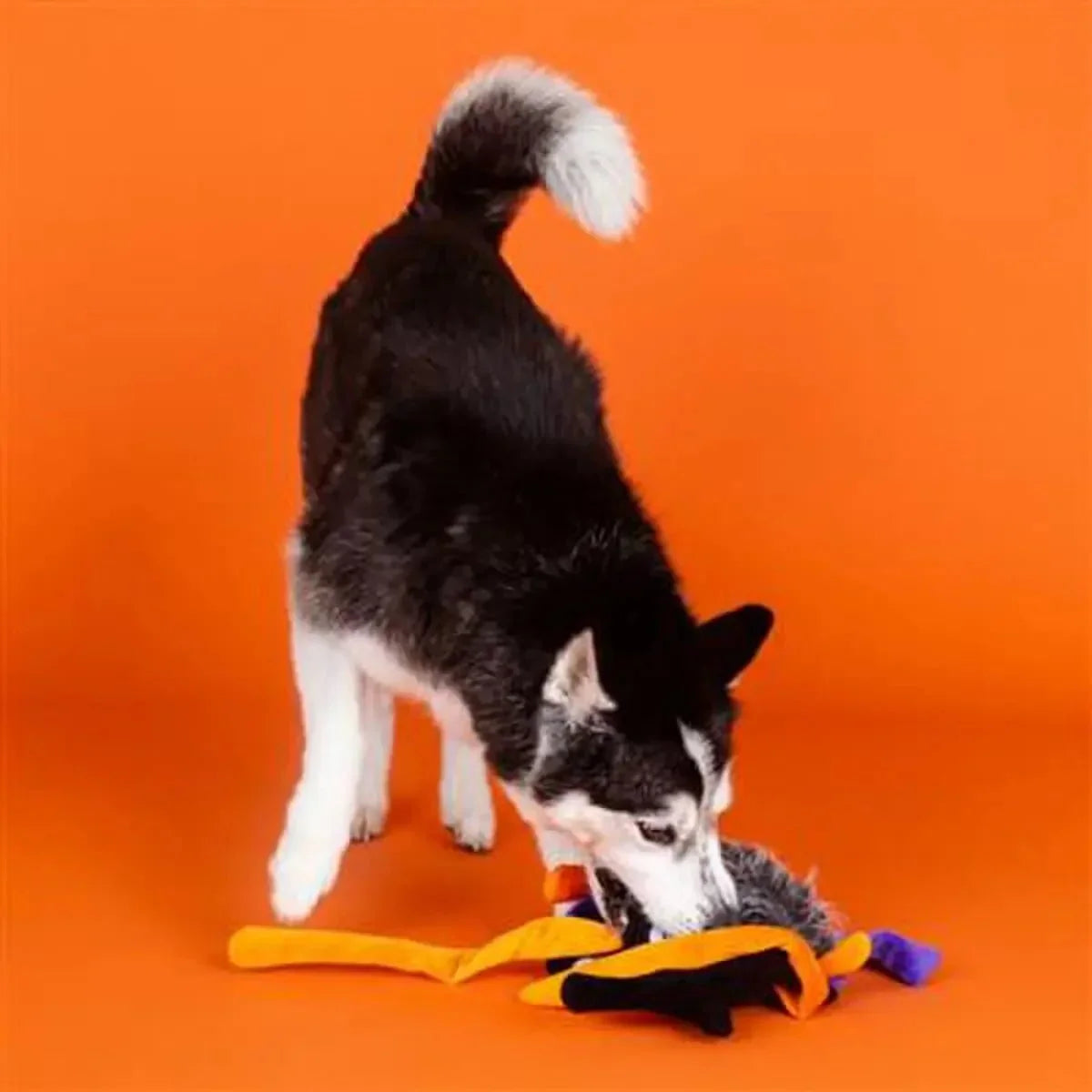PetShop by Fringe Studio Trappin' Flies Plush Dog Toy Large - Talis Us