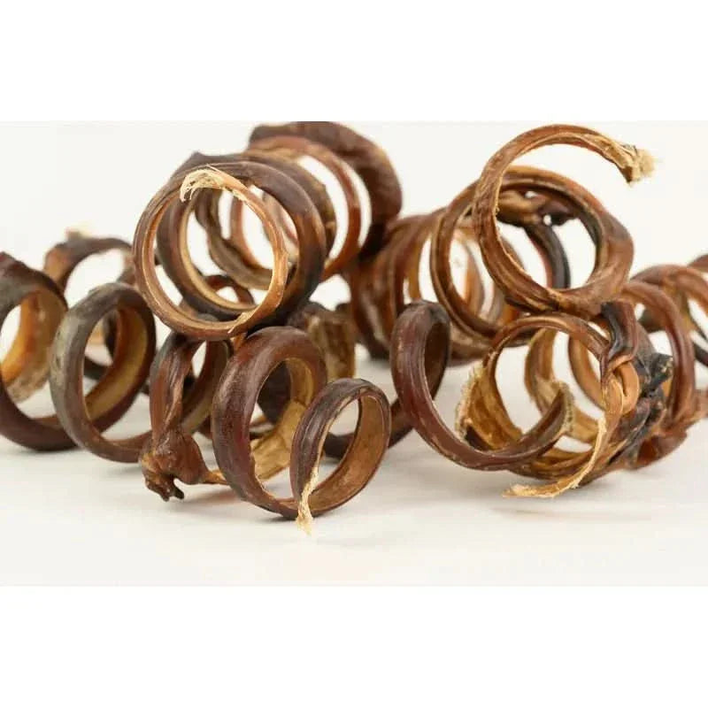 Talis Us pig pizzle springs dog chew made from natural ingredients for healthy chewing