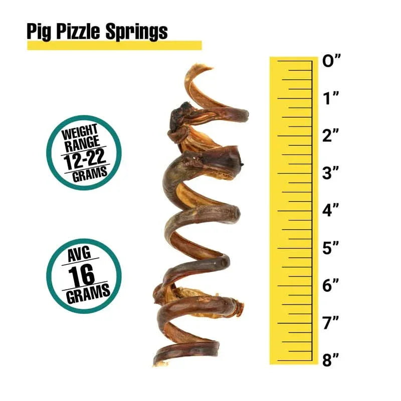 Talis Us pig pizzle springs dog chew with a spiral design, ideal for chewing and playtime