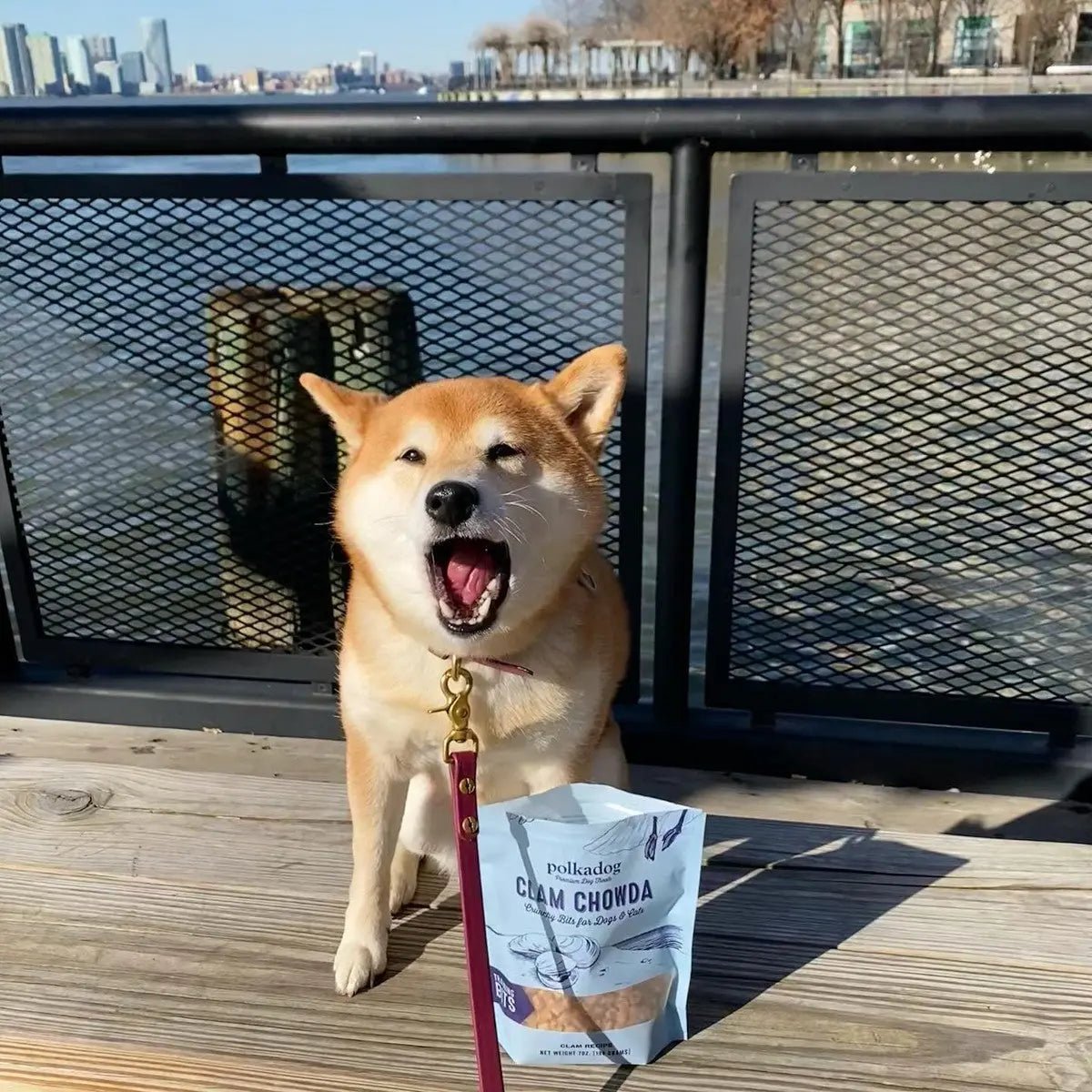 Polkadog Clam Chowda Training Bits Crunchy Dog and Cat Treats - Talis Us