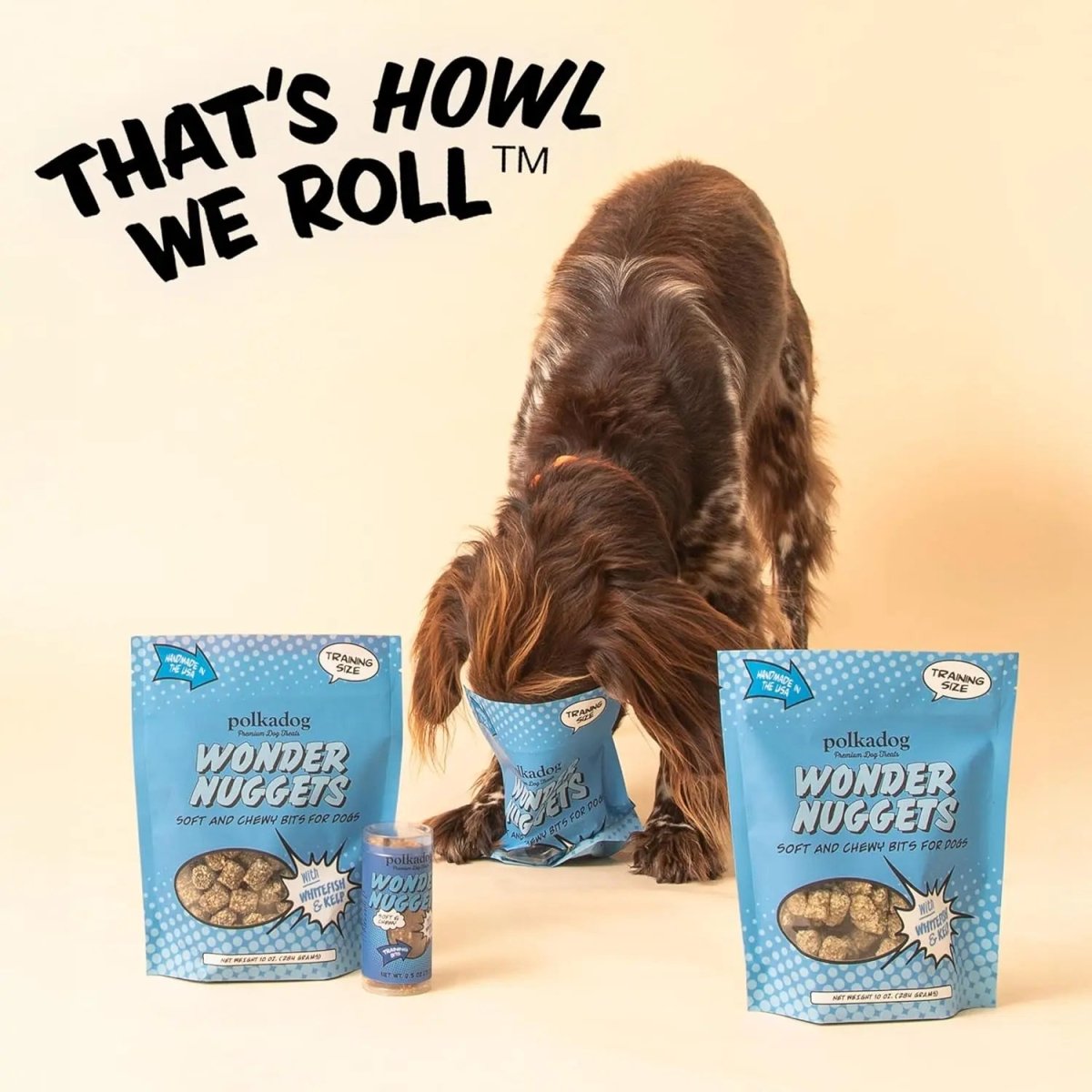 Polkadog Wonder Nuggets Whitefish & Kelp Soft & Chewy Dog Treats 10oz - Talis Us