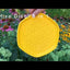 Hive Disc 3 in 1 Dog Toy