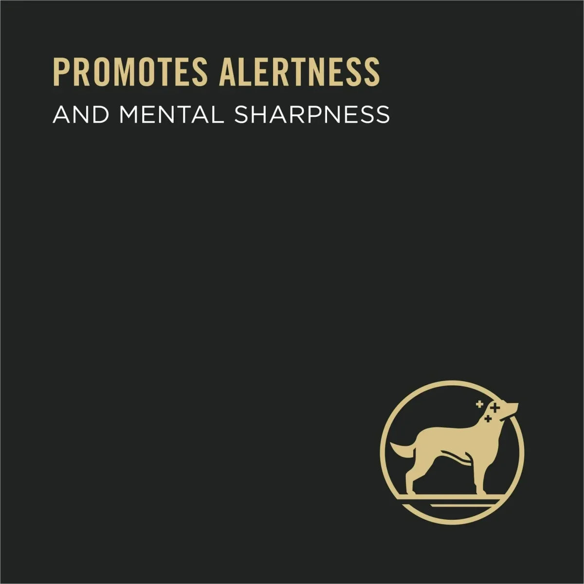 Pro Plan Bright Mind 7+ Beef & Brown Rice Entree Senior Wet Dog Food - Talis Us